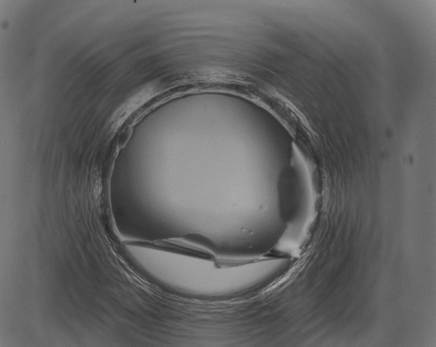 X0000084521065200703091556