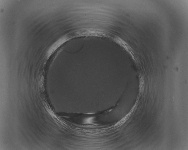 X0000084521066200703091556