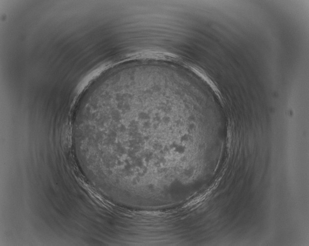 X0000084521067200703091556