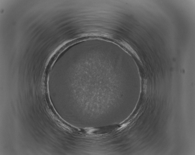 X0000084521068200703091556