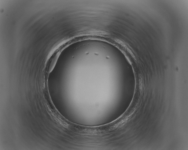 X0000084521069200703091556