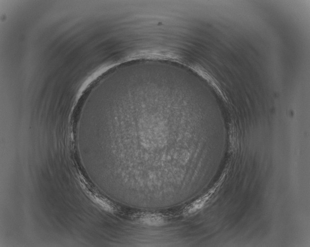 X0000084521070200703091556