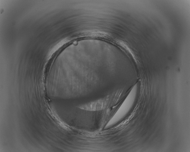 X0000084521071200703091556