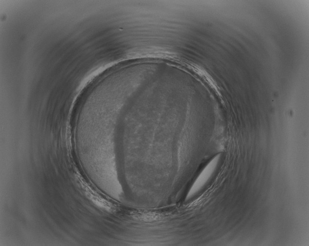 X0000084521072200703091556