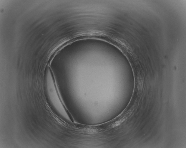 X0000084521073200703091556