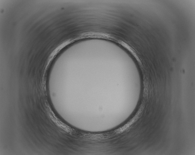 X0000084521074200703091556