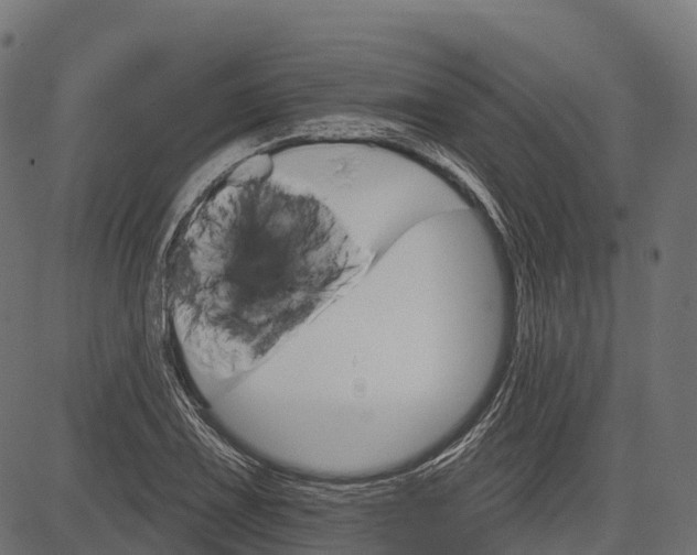 X0000084521075200703091556