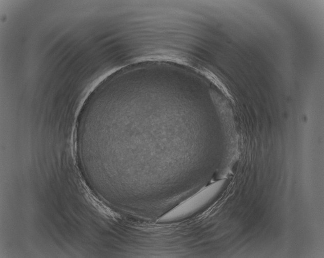 X0000084521076200703091556