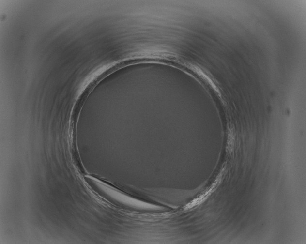 X0000084521077200703091556