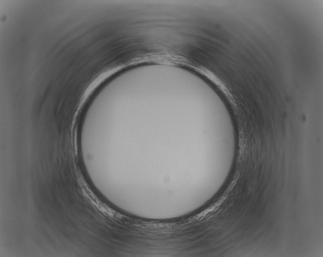 X0000084521078200703091556