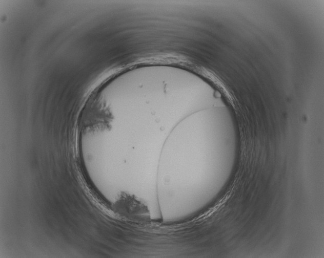 X0000084521079200703091556