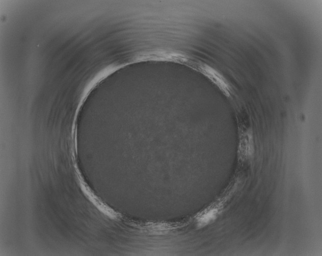 X0000084521080200703091556