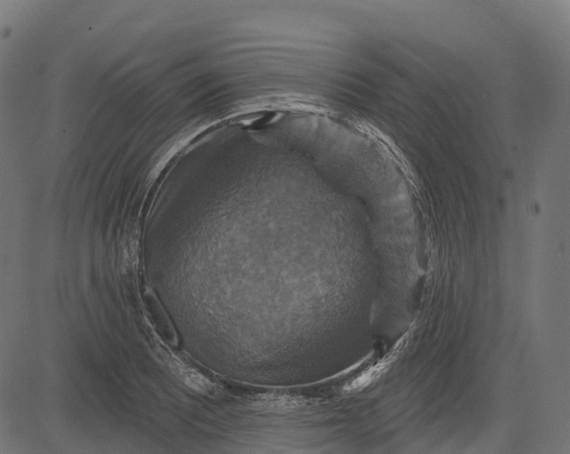 X0000084521081200703091556