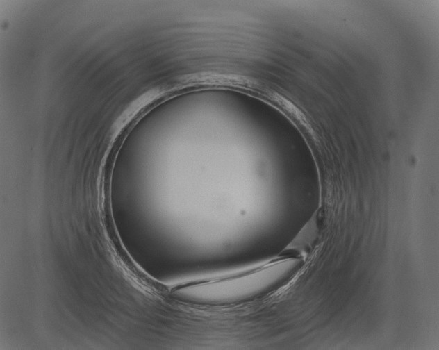 X0000084521082200703091556