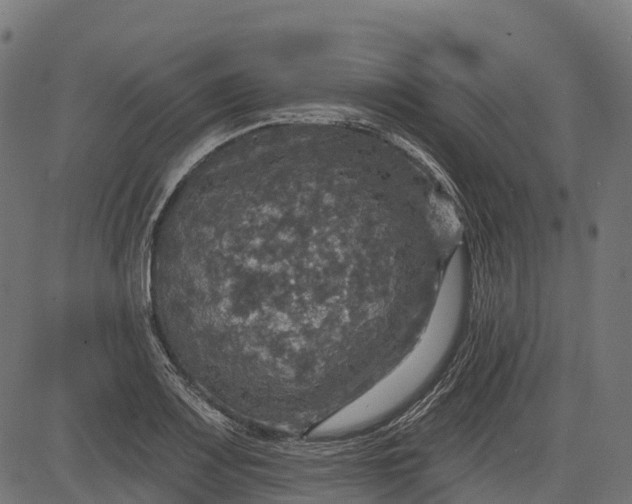 X0000084521083200703091556