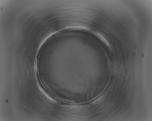 X0000084521084200703091556