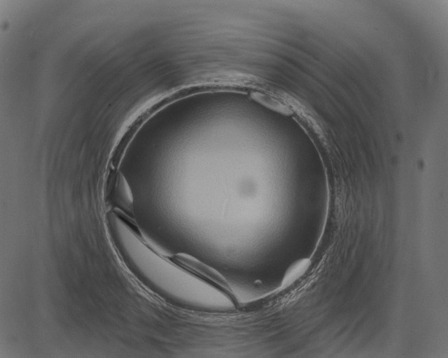 X0000084521085200703091556