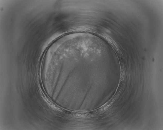 X0000084521086200703091556