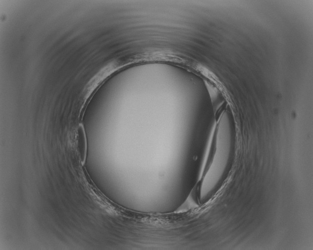 X0000084521089200703091556