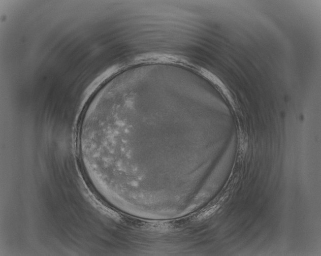 X0000084521090200703091556