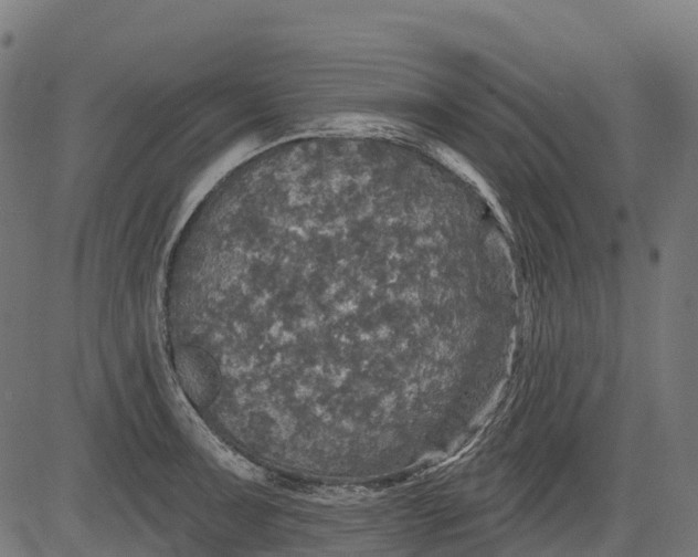 X0000084521091200703091555