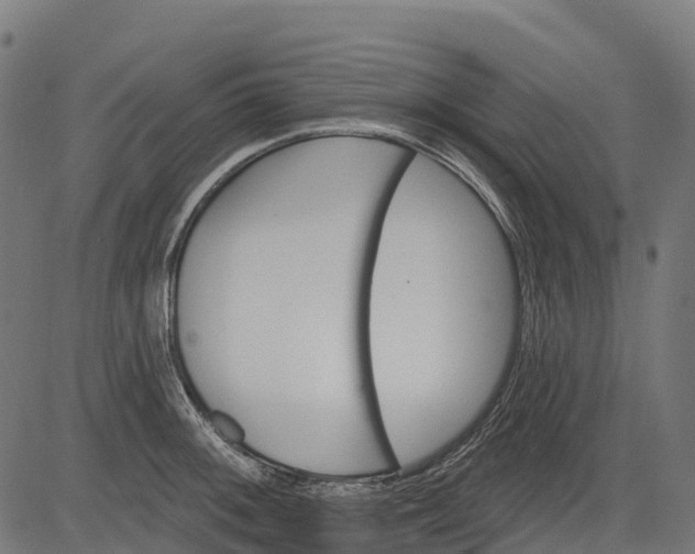 X0000084521092200703091555