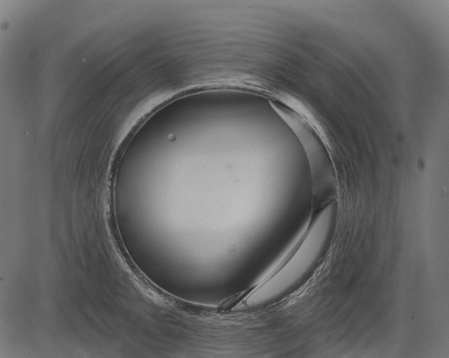 X0000084521093200703091555