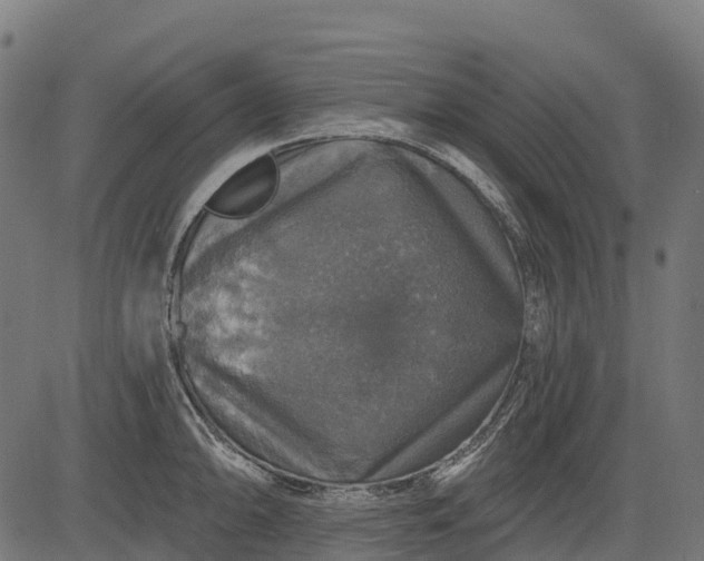 X0000084521094200703091555