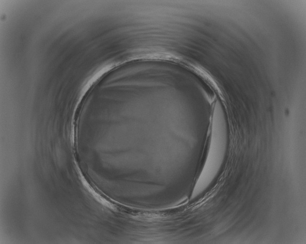 X0000084521095200703091555