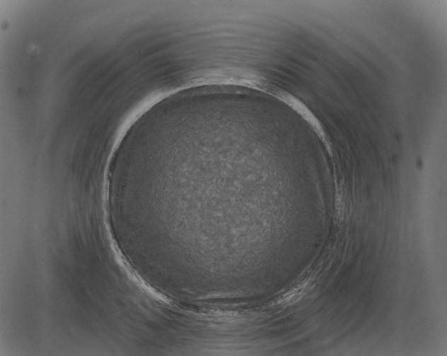 X0000084521096200703091555