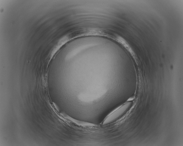 X0000084521097200703091555