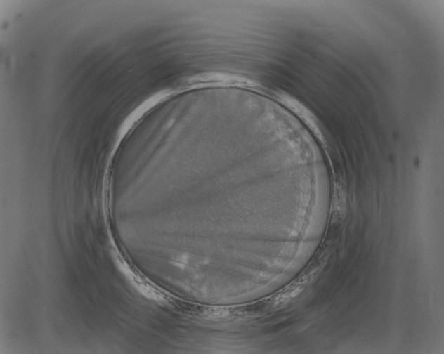 X0000084521098200703091555