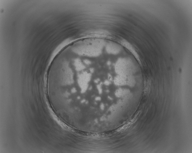 X0000084521099200703091555