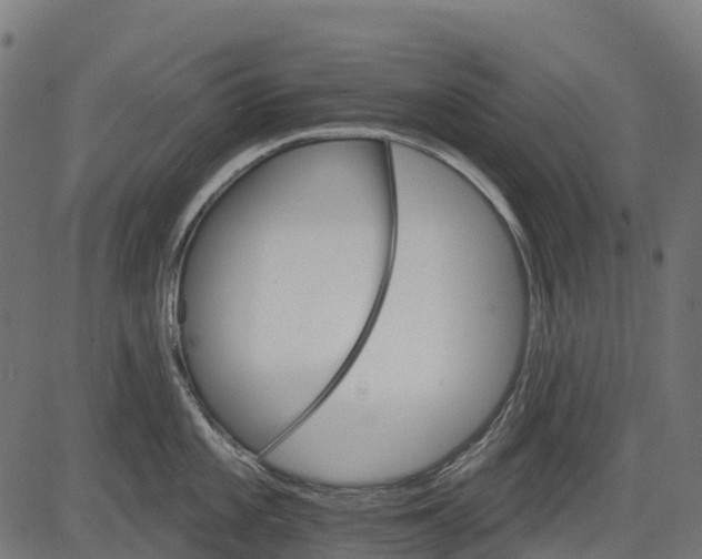 X0000084521101200703091555