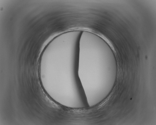 X0000084521102200703091555