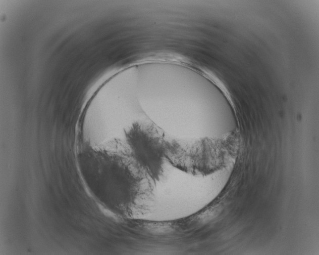 X0000084521103200703091555