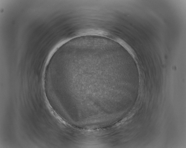 X0000084521104200703091555