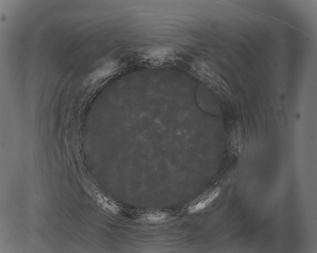 X0000084521105200703091554