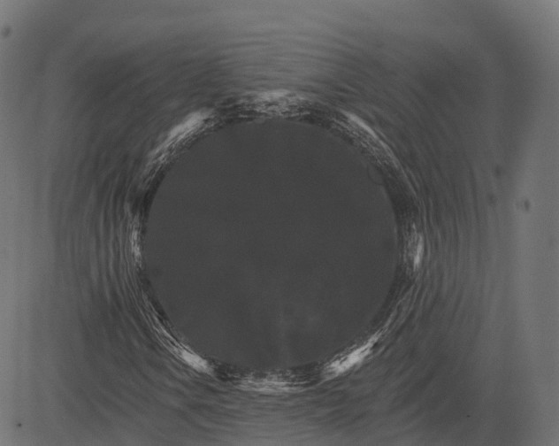 X0000084521106200703091554