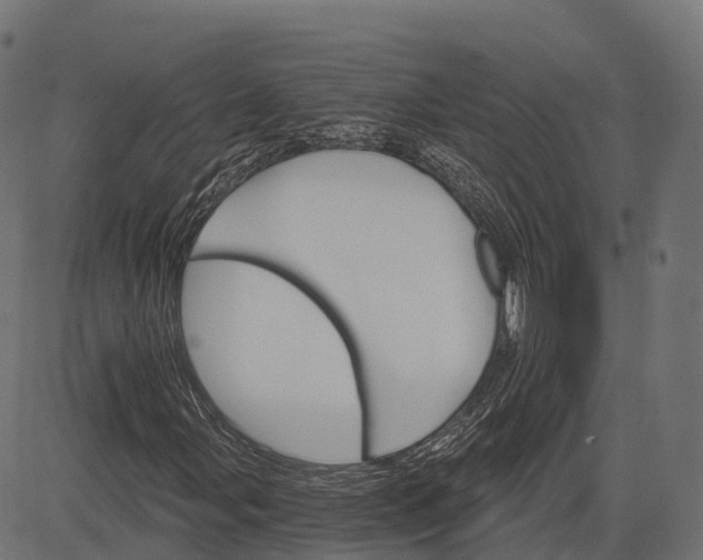 X0000084521107200703091555