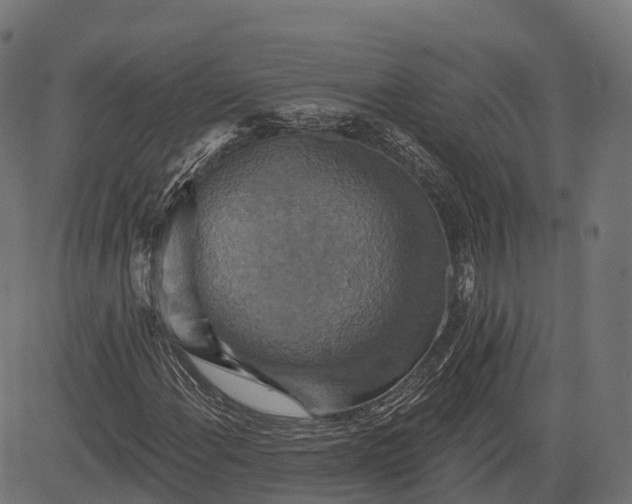 X0000084521108200703091555