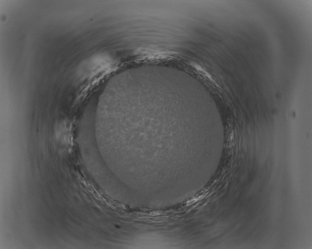 X0000084521109200703091555