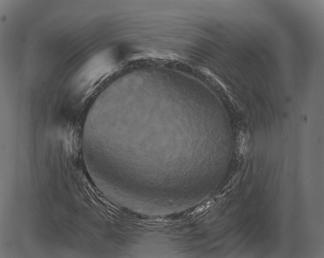 X0000084521110200703091555