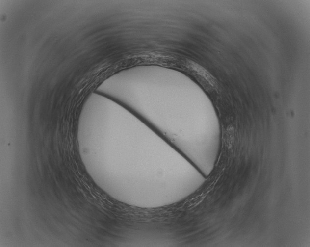 X0000084521111200703091555