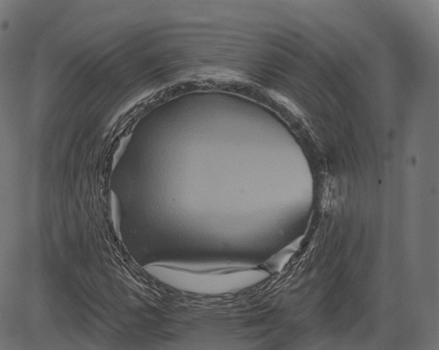 X0000084521112200703091555