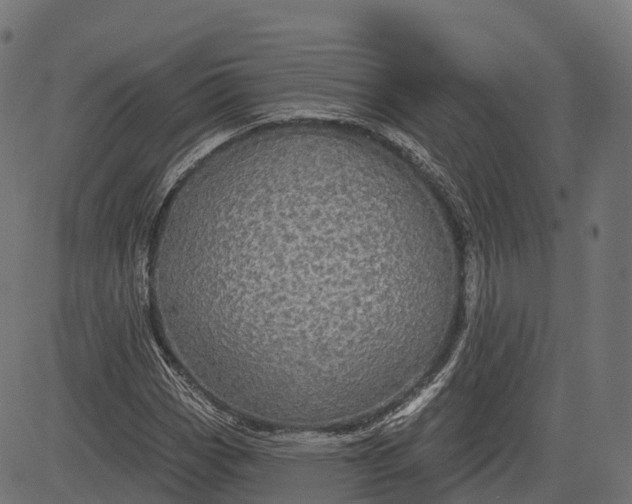 X0000084521113200703091555