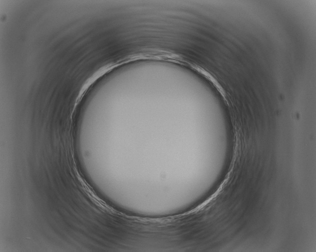 X0000084521114200703091555