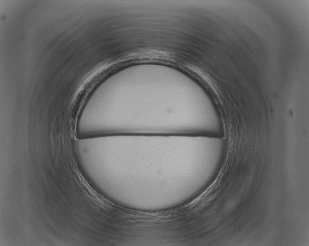 X0000084521115200703091555