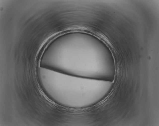 X0000084521116200703091555