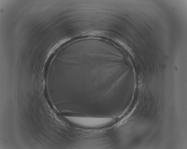 X0000084521117200703091555